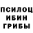 Псилоцибиновые грибы GOLDEN TEACHER Rizvan Cabbarov