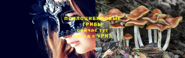 ГАЛЛЮЦИНОГЕННЫЕ ГРИБЫ Пересвет