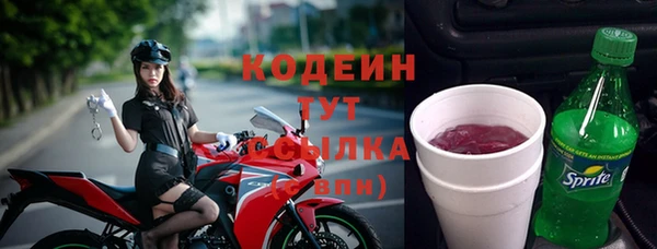 ГАЛЛЮЦИНОГЕННЫЕ ГРИБЫ Пересвет