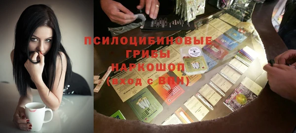 ГАЛЛЮЦИНОГЕННЫЕ ГРИБЫ Пересвет