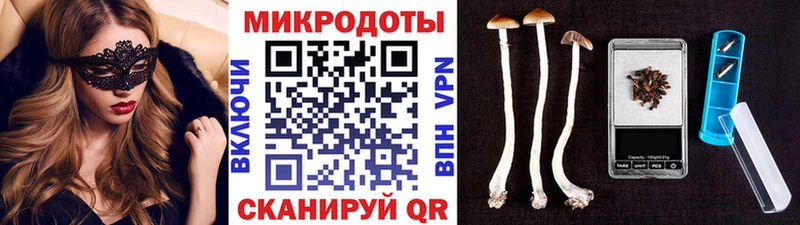 Псилоцибиновые грибы прущие грибы  Сусуман 